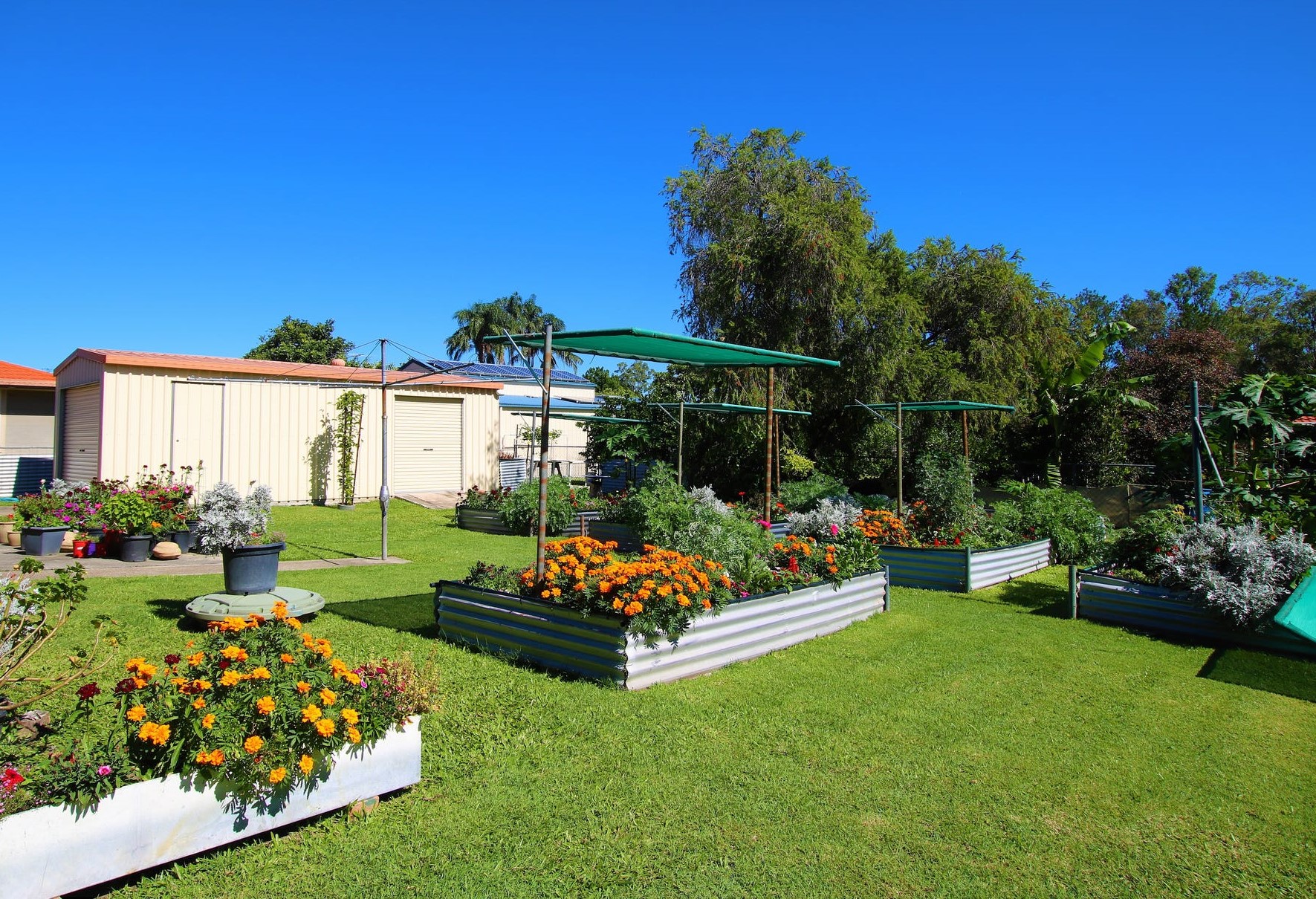4 Mary Street, DONNYBROOK QLD 4510, Donnybrook - Thumbnail 8